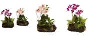 Nearly Natural 2-Pc. Orchid Island Artificial Arrangement Set